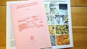 Tog upp studier i paleopedologi för att göra klimat- och miljötolkningar i Skåne för 250 miljoner år sedan